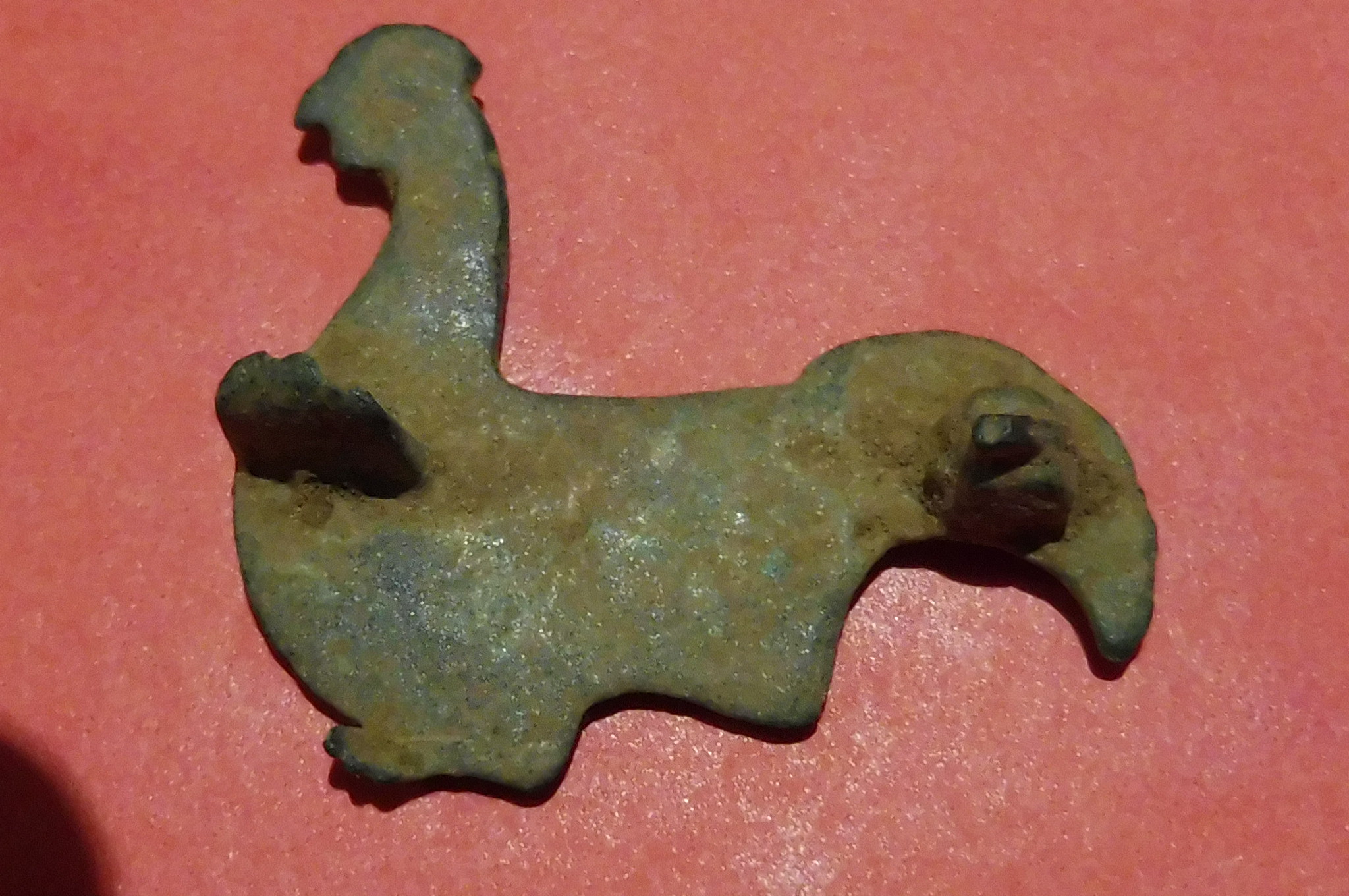 P1020106.JPG