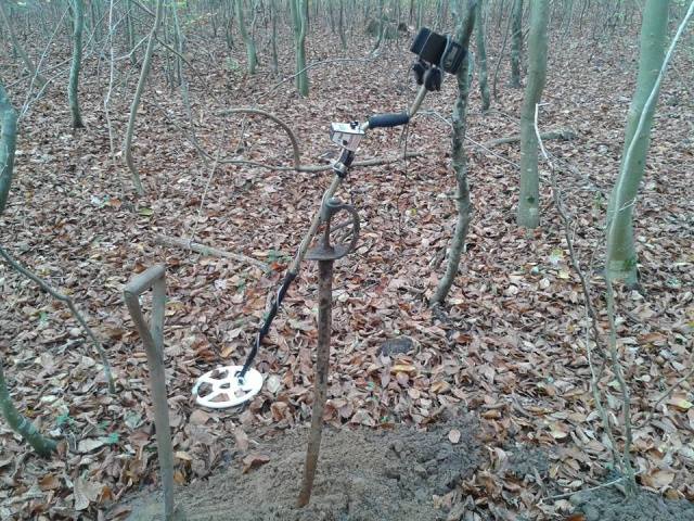 14502837_1396432893707878_979213793482174940_n (1).jpg