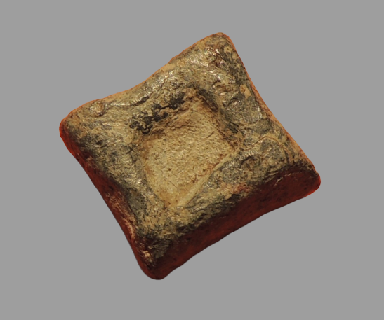 DSCN2873__2_-removebg-preview.png