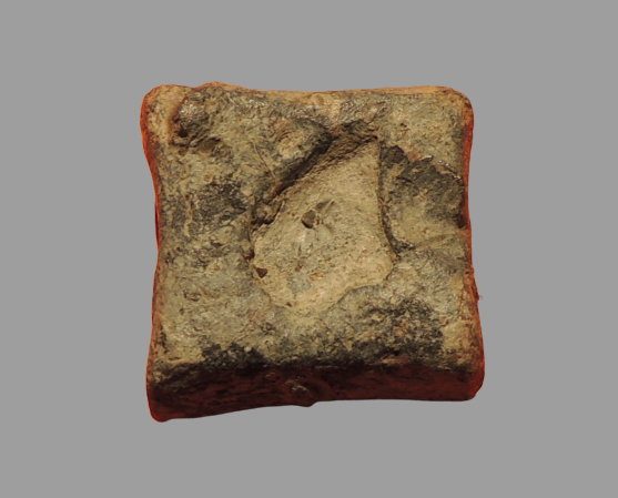 DSCN2874__2_-removebg-preview.png
