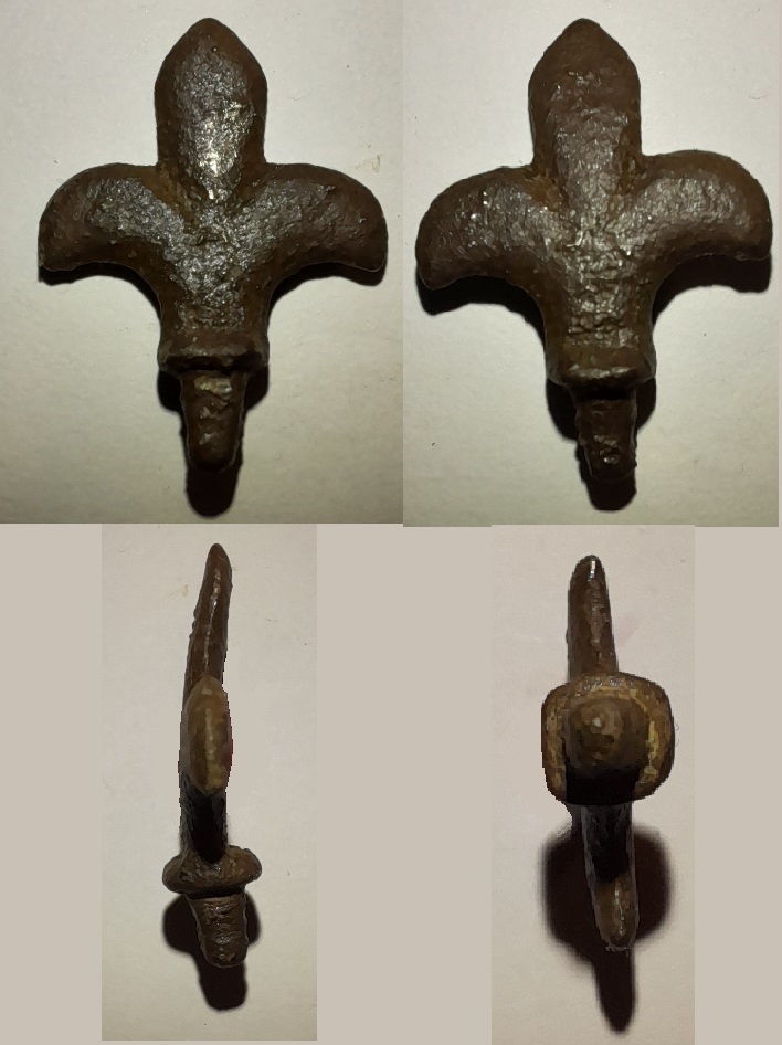 Les tribulation d'une fleur de Lys.jpg