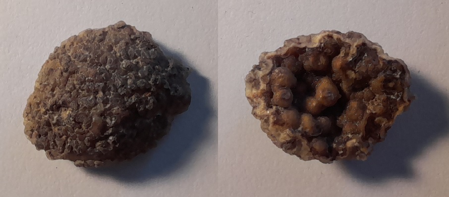 Mini géode de 2 cm.jpg