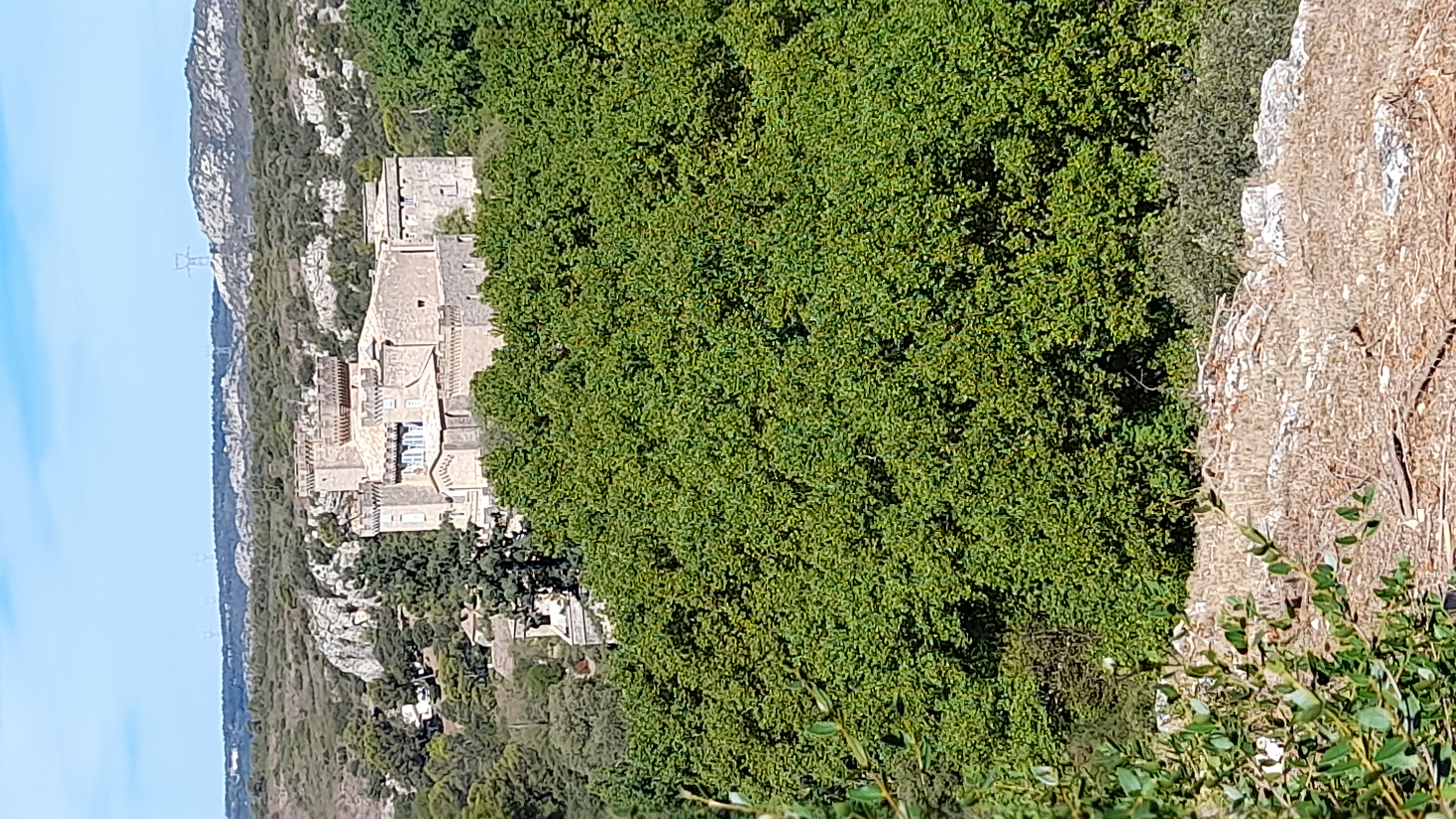 20220821_112909.jpg