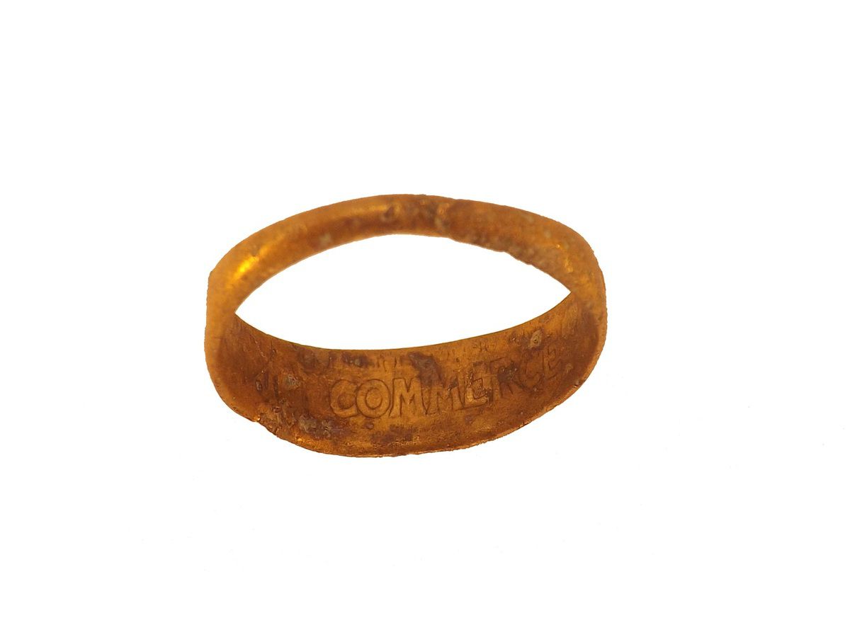 ob_590477_bague-realisee-dans-une-piece-d-un.JPG
