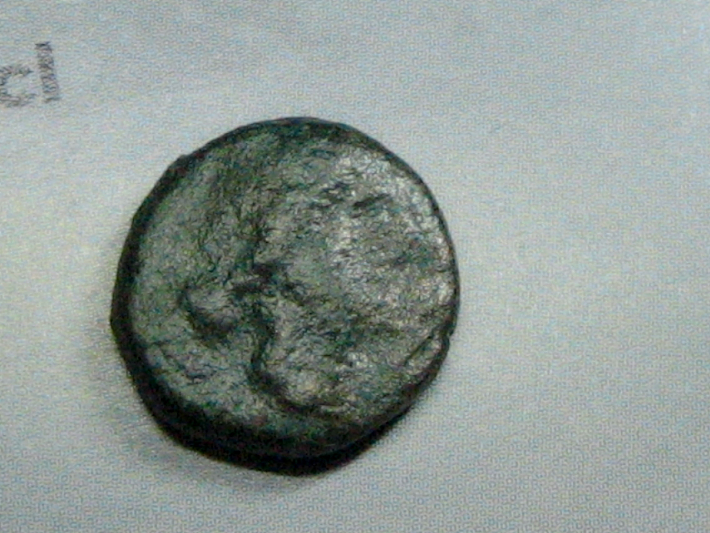 gauloise aigle 1.jpg