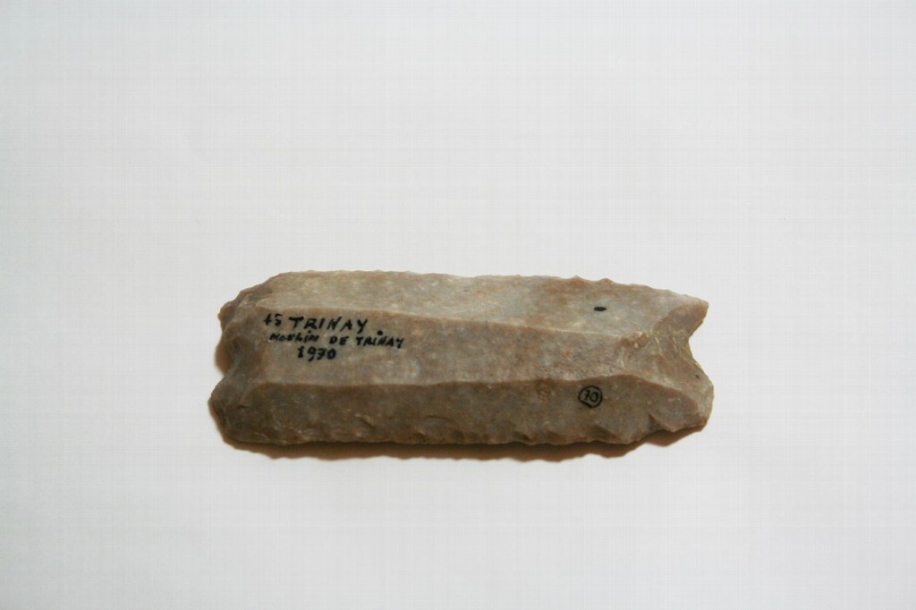 M0278-0005352 (1).jpg