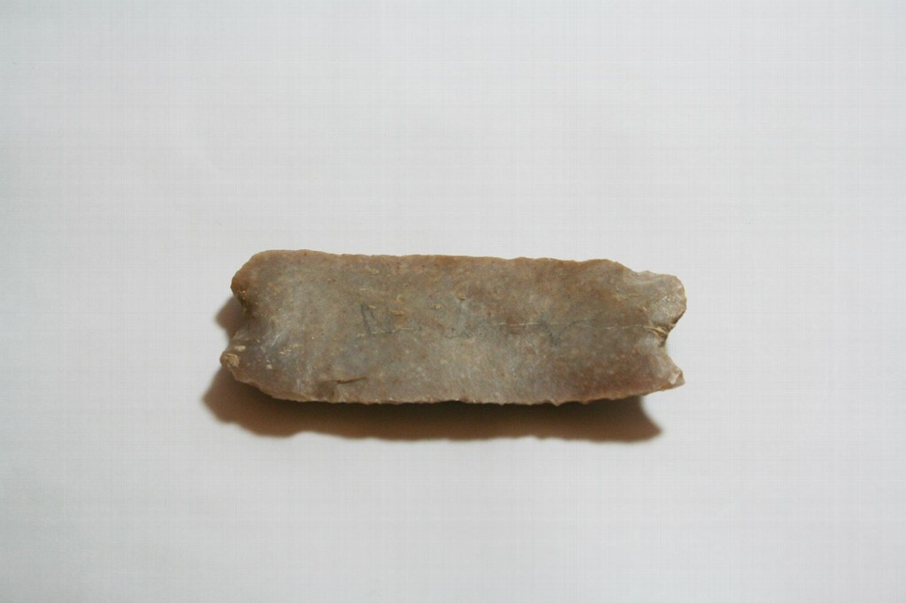 M0278-0005353.jpg