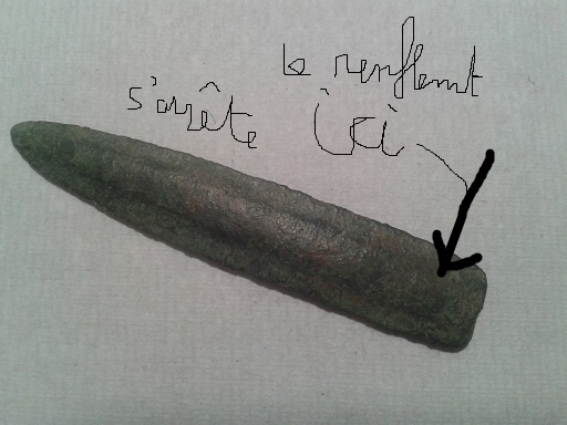 foret.jpg