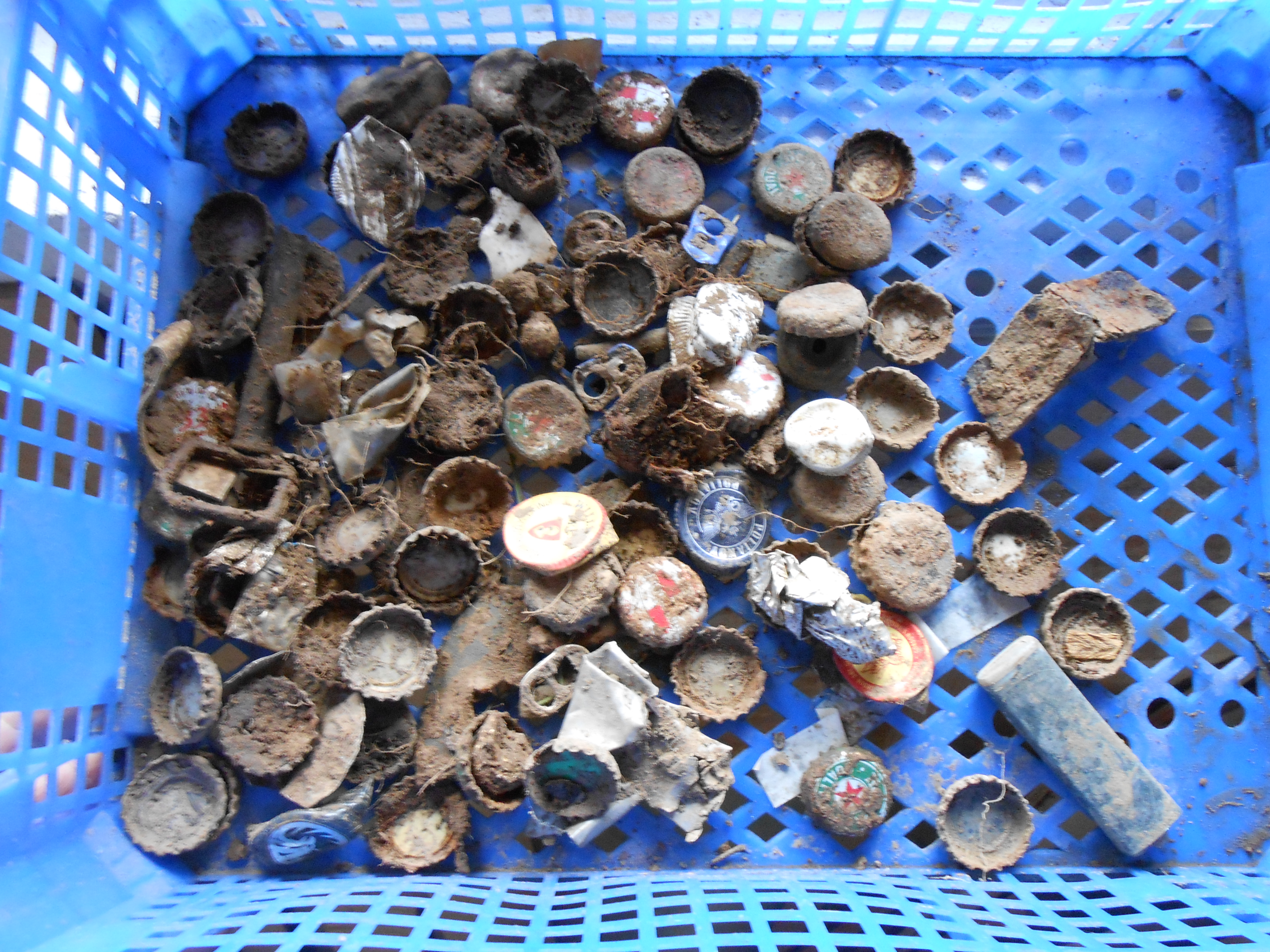 DSCN6719.JPG