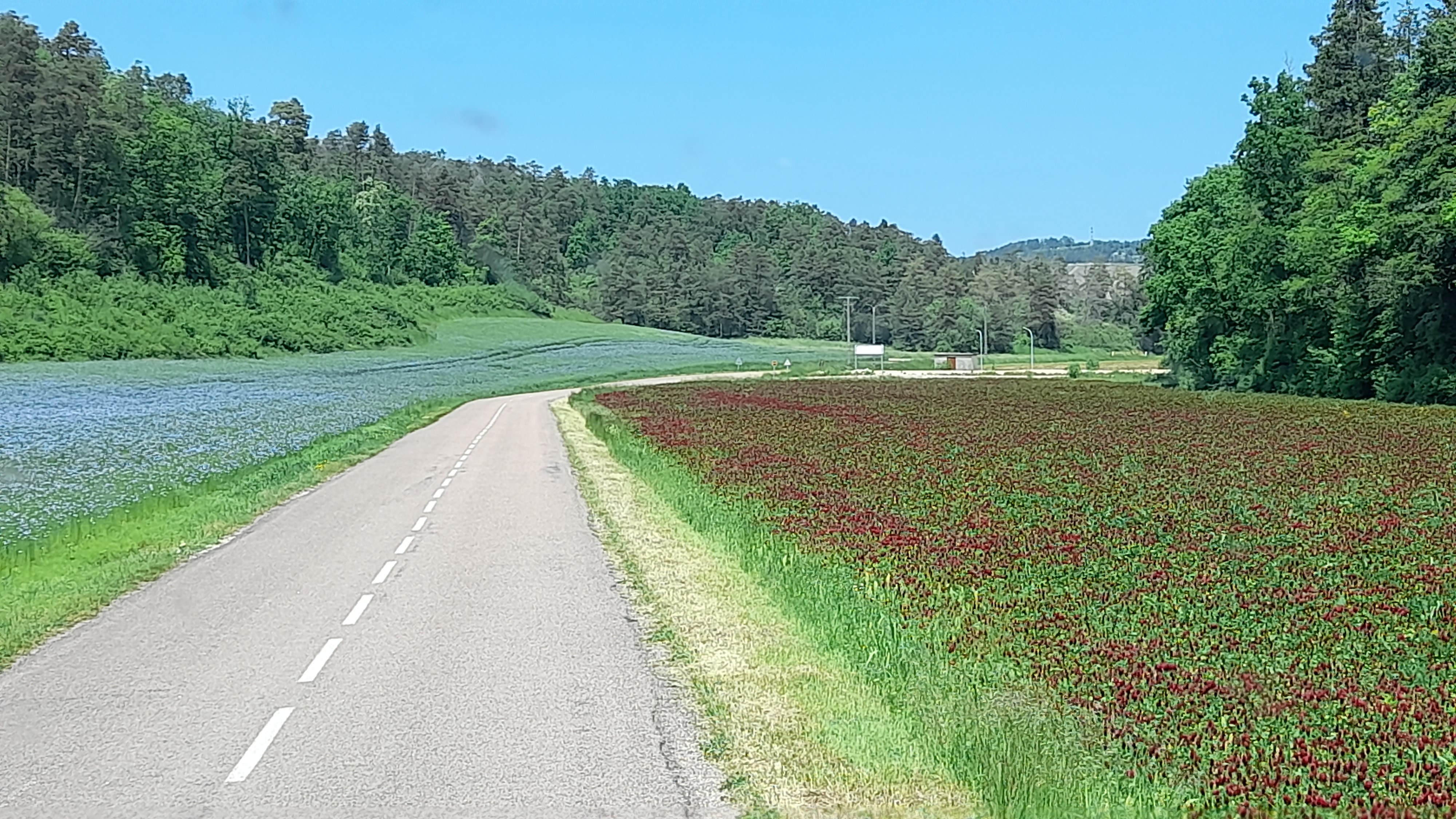 20230526_141123.jpg