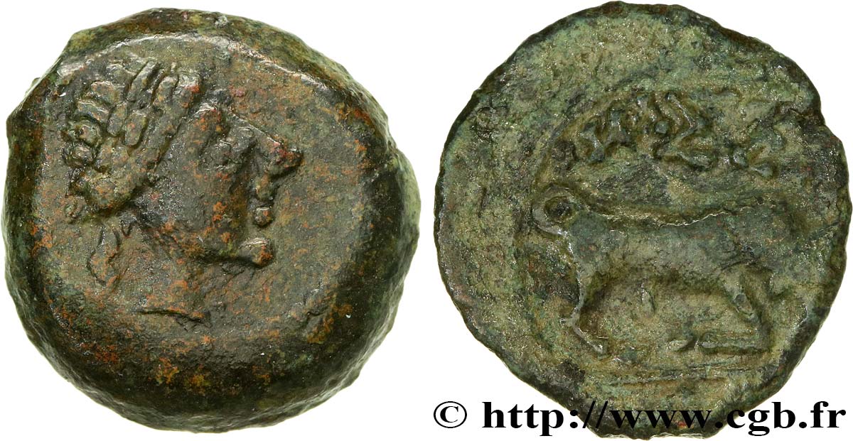 Imitation Bronze au taureau Massalia.jpg