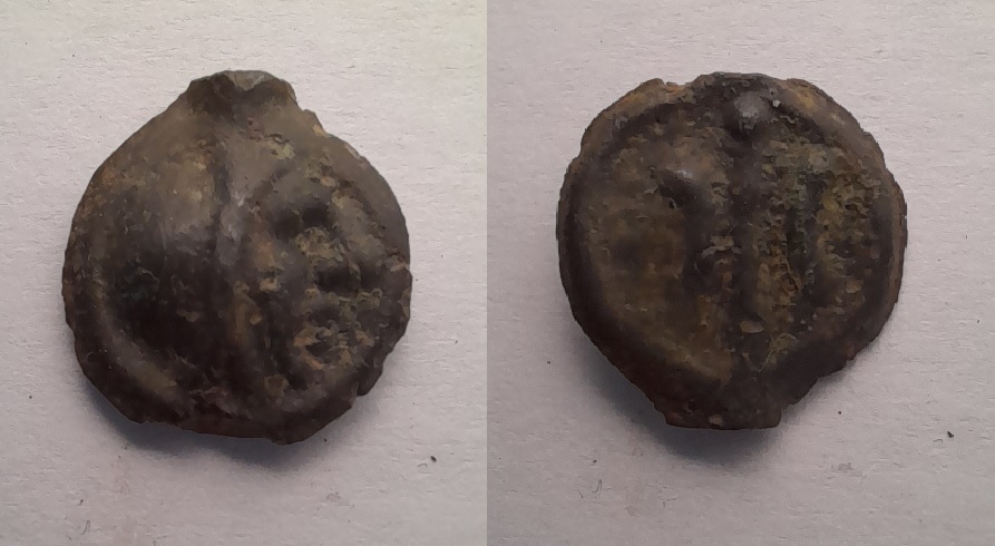 Potin Gaulois Bituriges.jpg