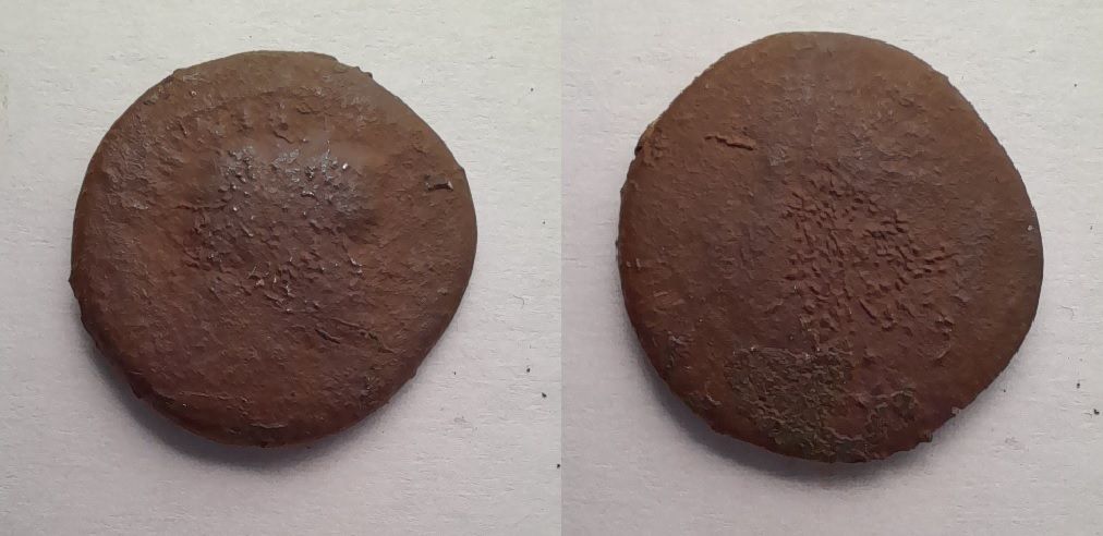 Romaine peut être Faustine.jpg