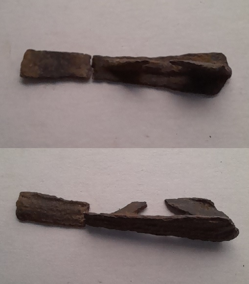 Fibule pas fibule.jpg