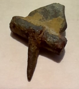 Chape et ardillon de boucle.jpg