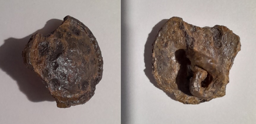 Bouton en bronze.jpg