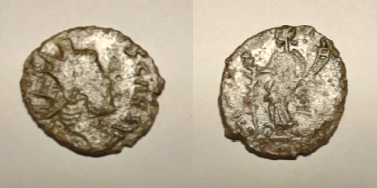 Romaine à identifier.jpg