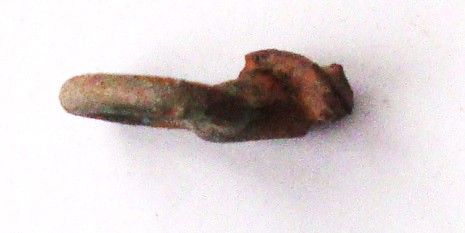 DSC05564.JPG