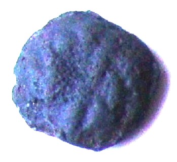 DSC05571 - Copie.JPG