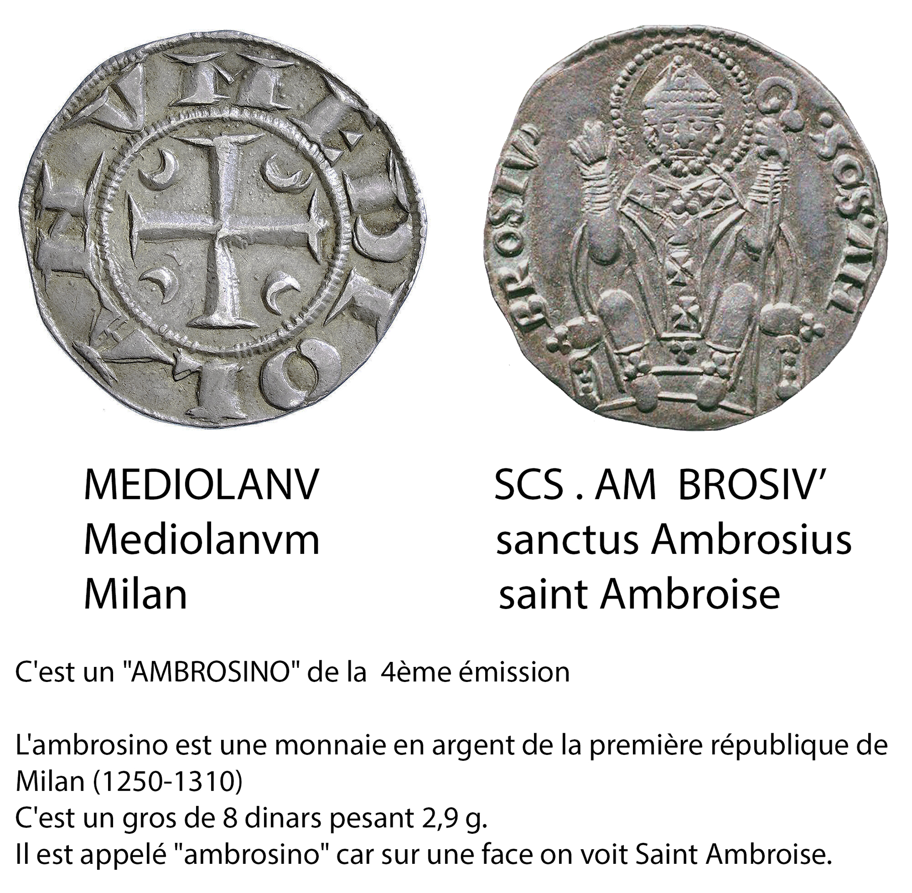 ambrosino.jpg