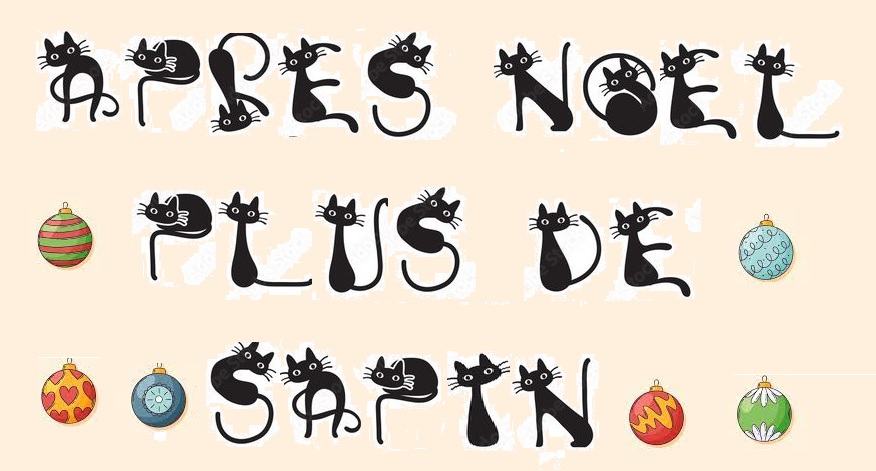 Après noël plus de sapin.jpg