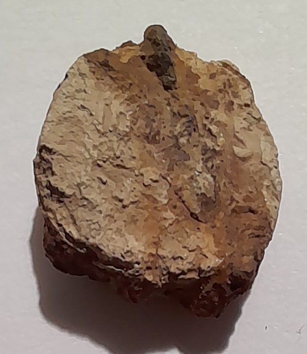 Un pauvre plomb de scéllé sans grand restes.jpg