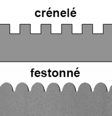 crénelé festonné.png