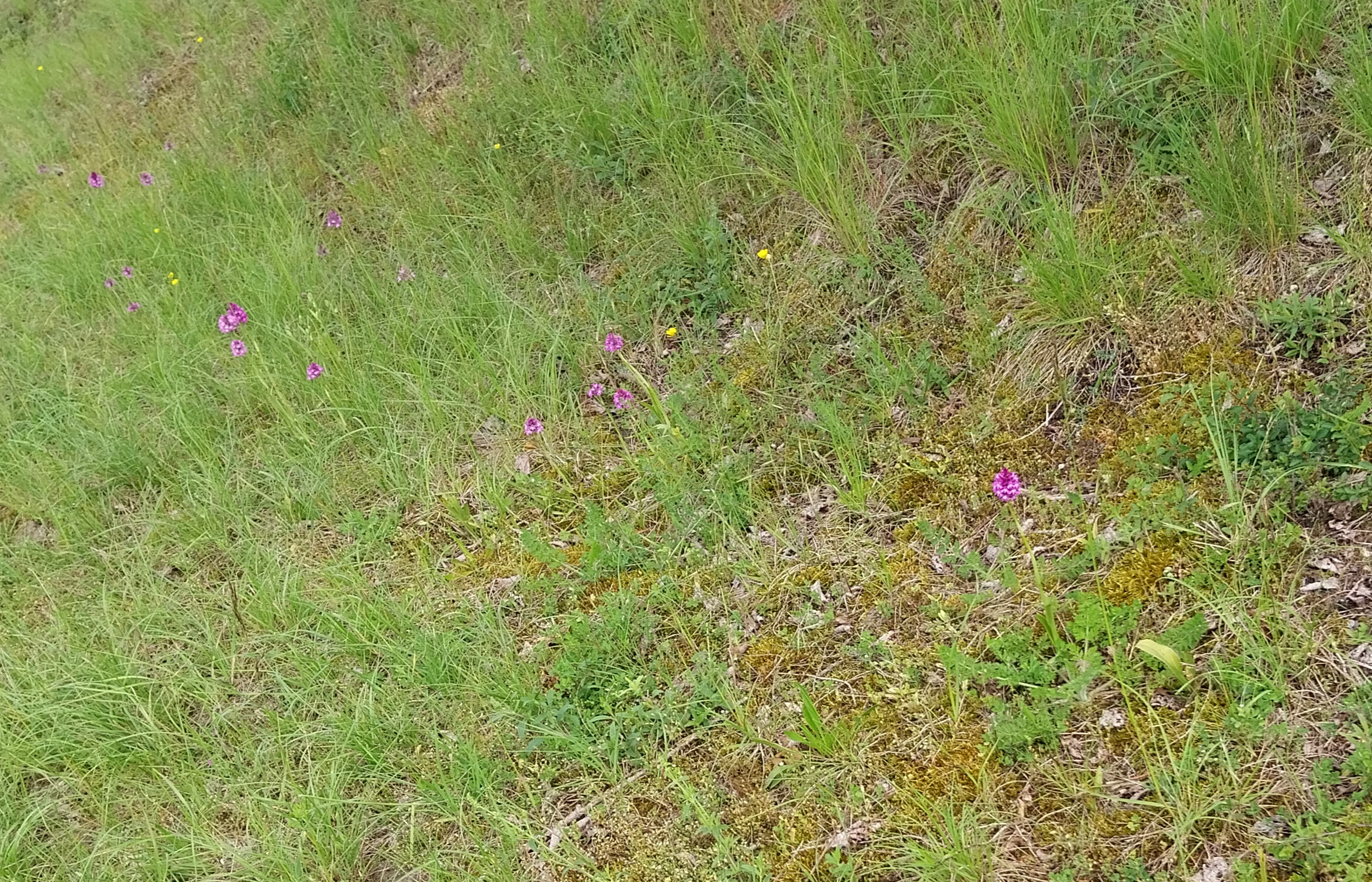 20240517_121213.jpg