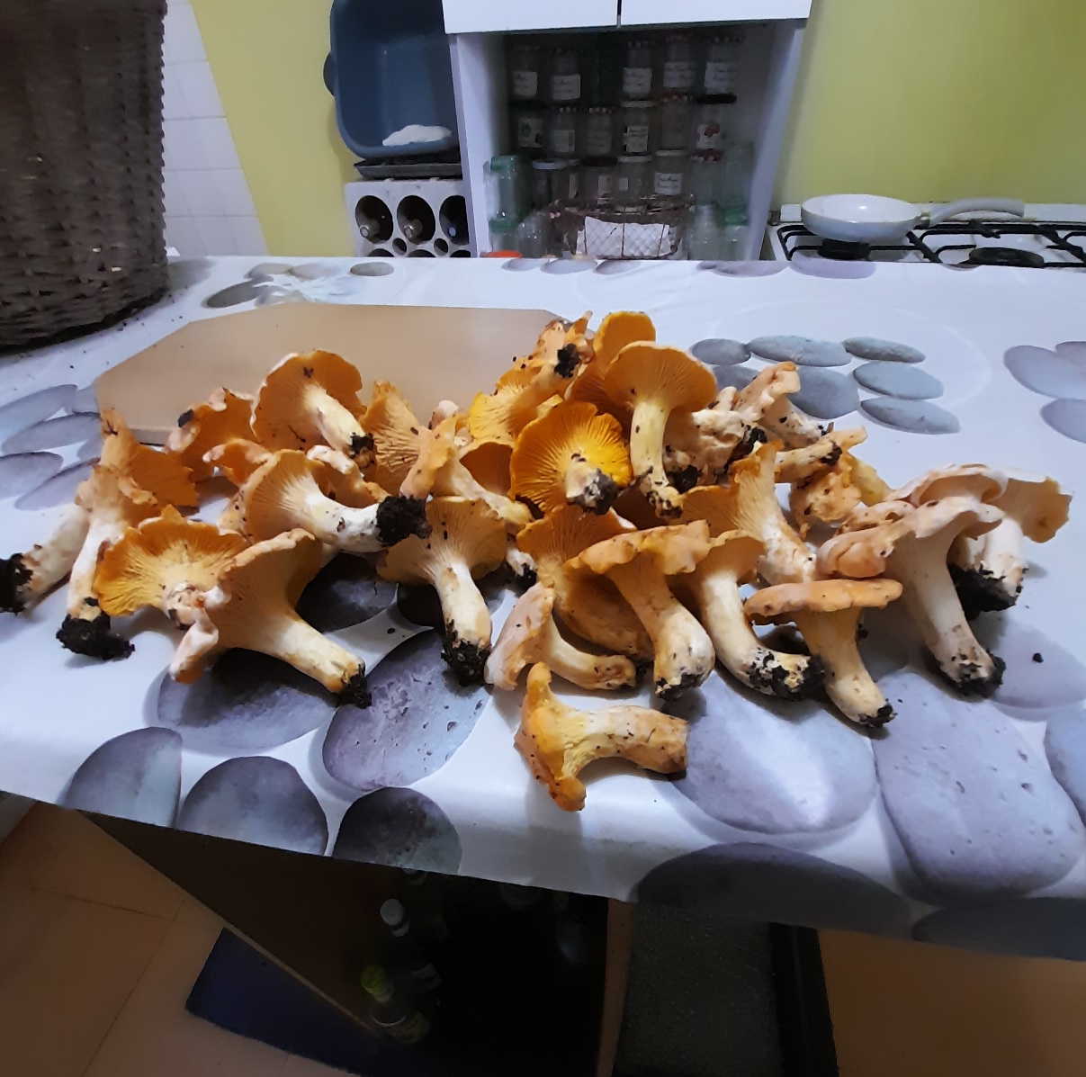 Cueuillette du jour (Girolles).jpg