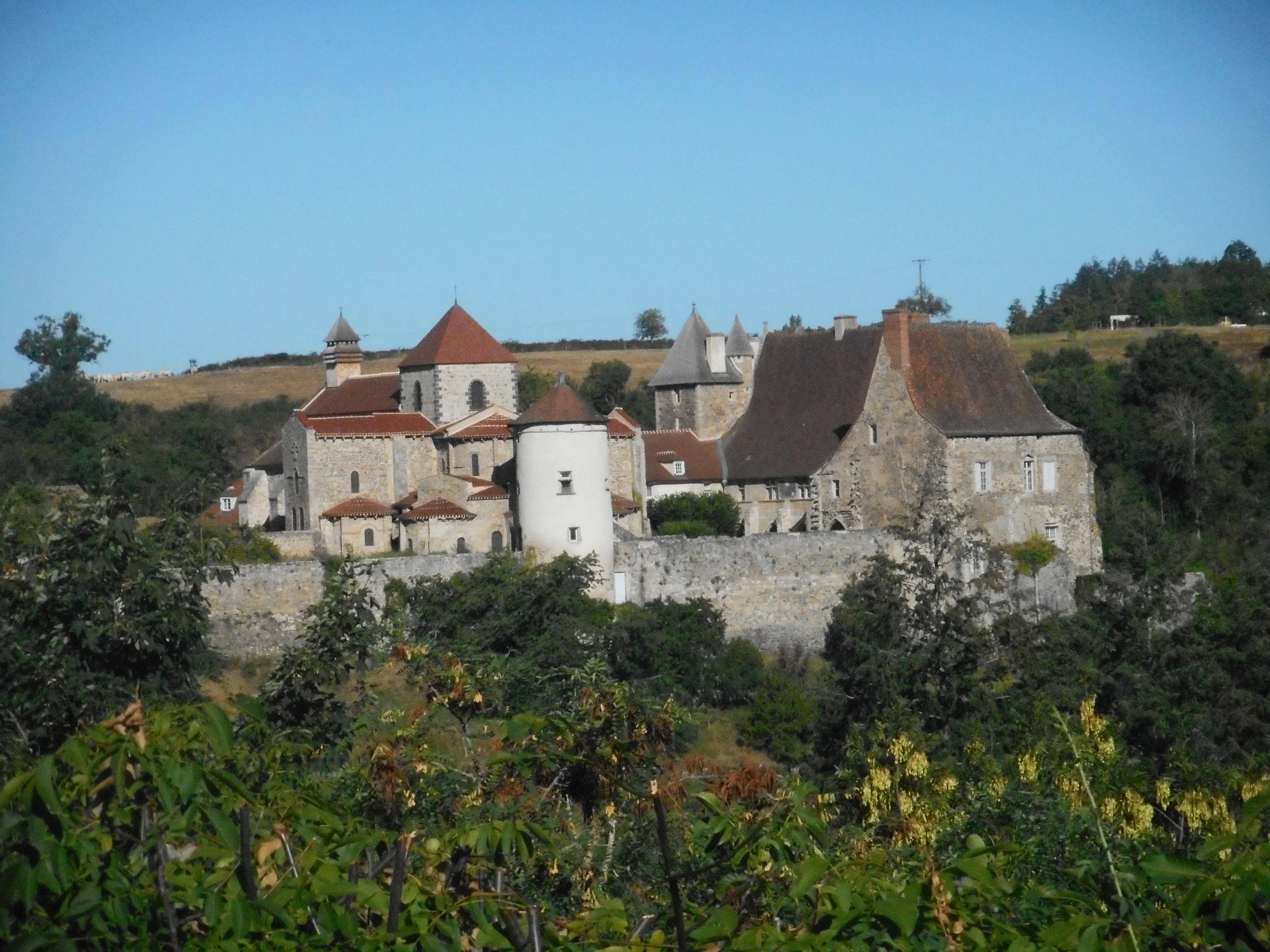 Abbaye de st Vincent Chantelle 03 Allier fondation 937.JPG