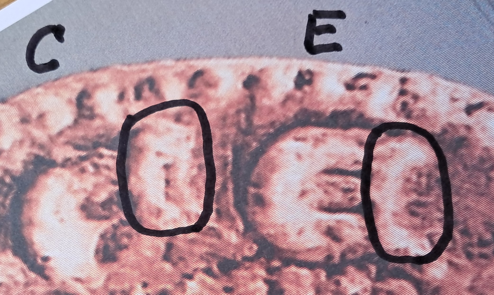 20240722_111921.jpg