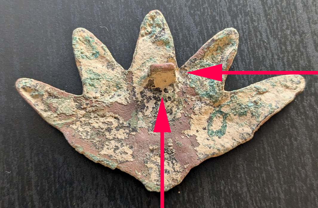 PXL_20241016_085245296 bis.jpg