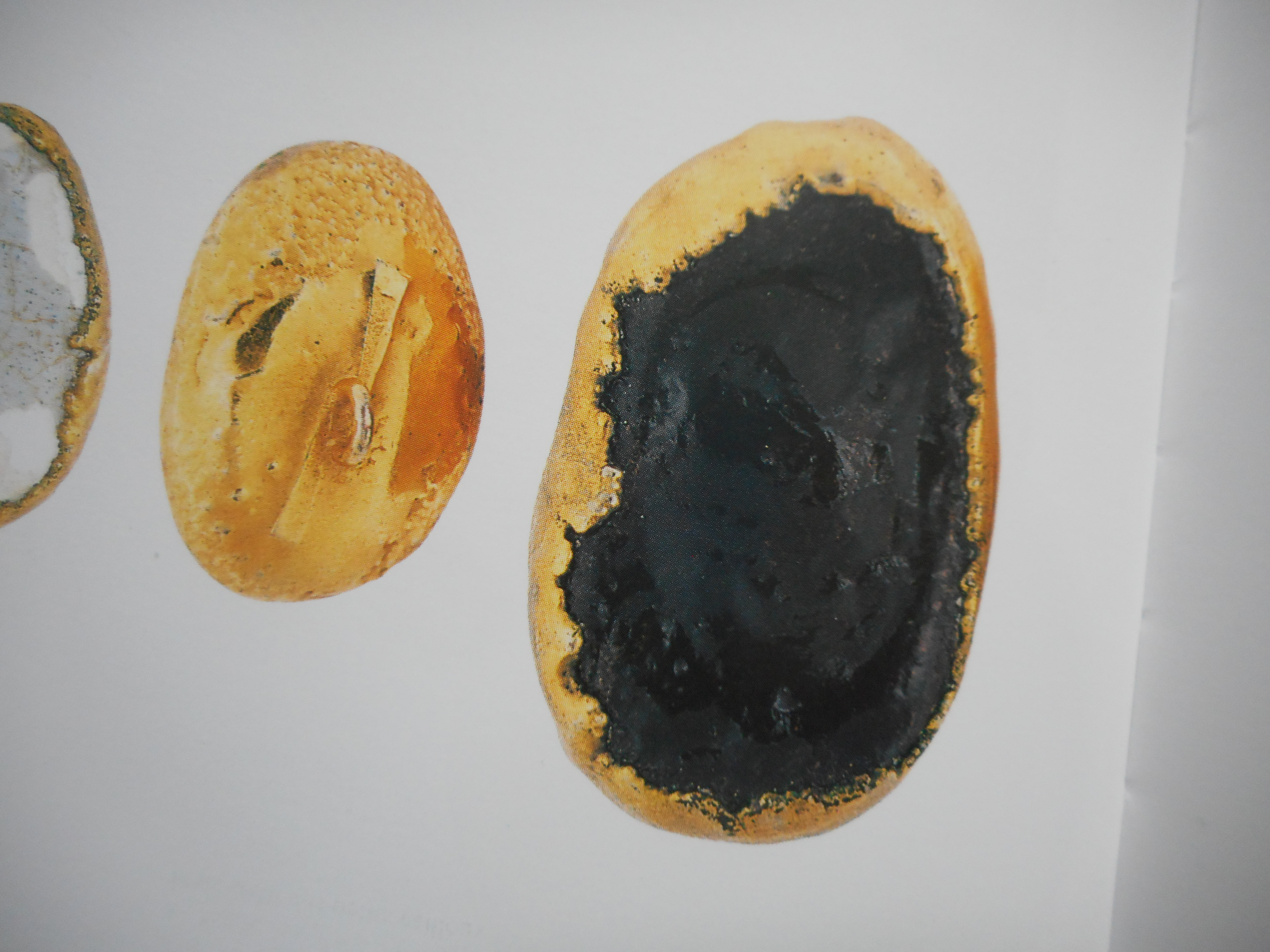 DSCN4184.JPG