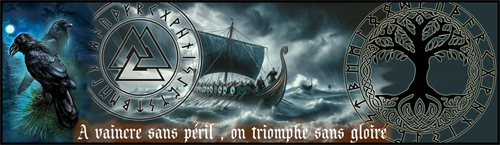 banniere resize 2.jpg