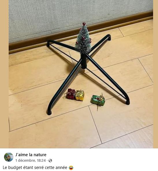 SAPIN.JPG