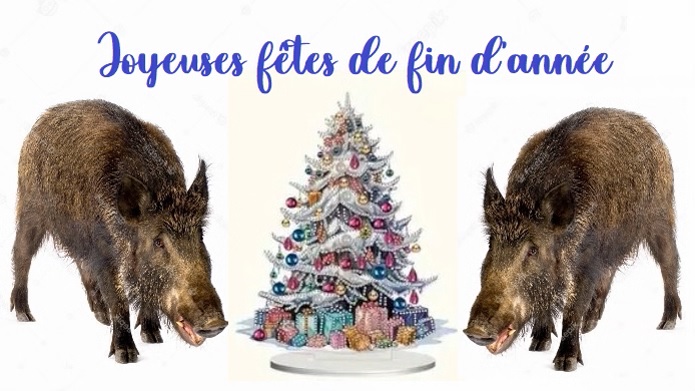 Joyeuses fêtes 1.jpg