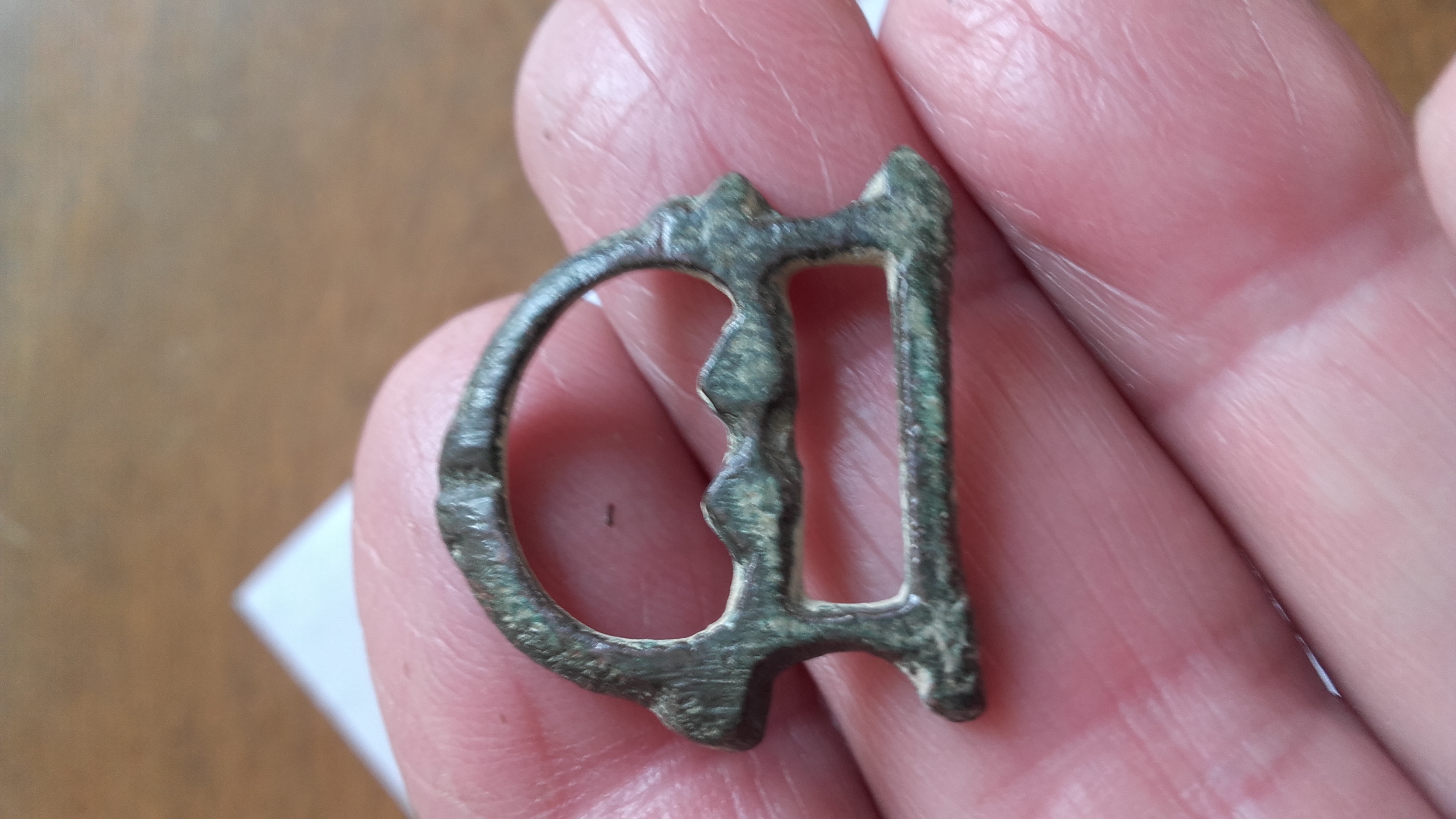 cingilum   L= 23 H=23mm.jpg