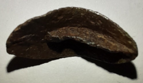 16 Objet à identifier.jpg