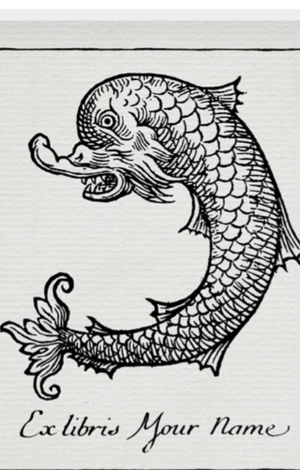 Représentation dauphin 16ème 17ème