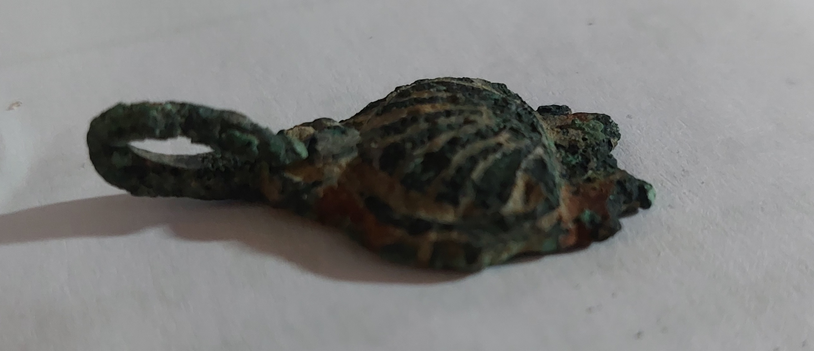 1000040270.jpg