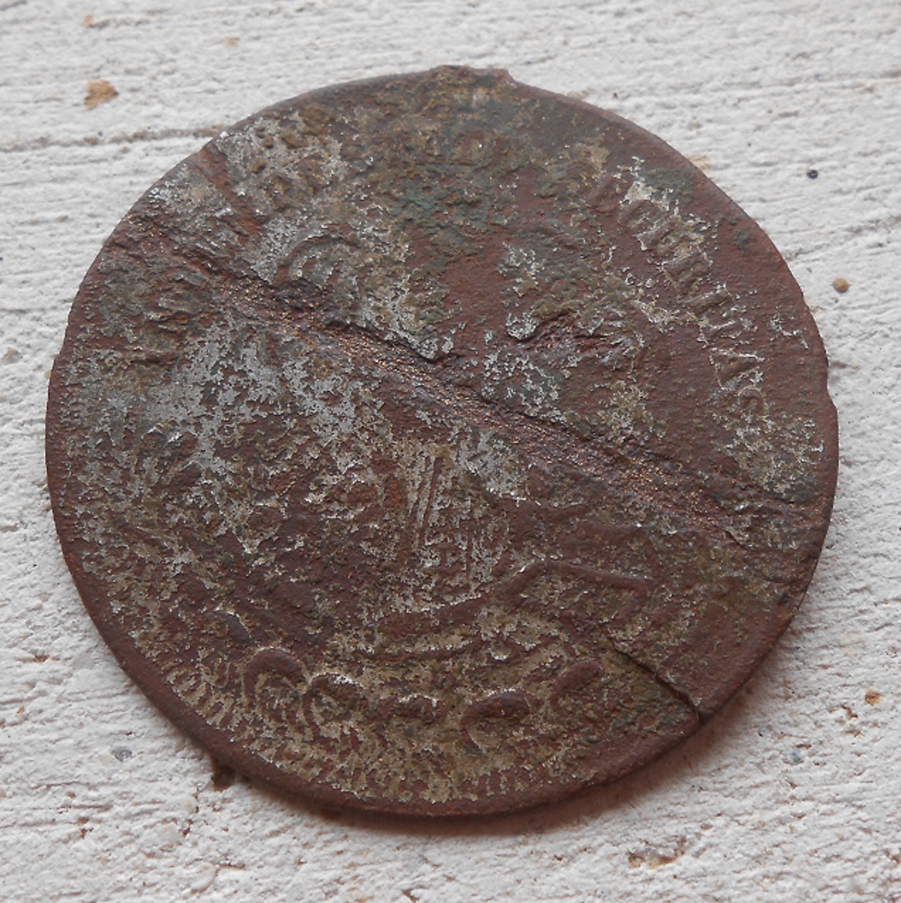 DSCN5641.JPG