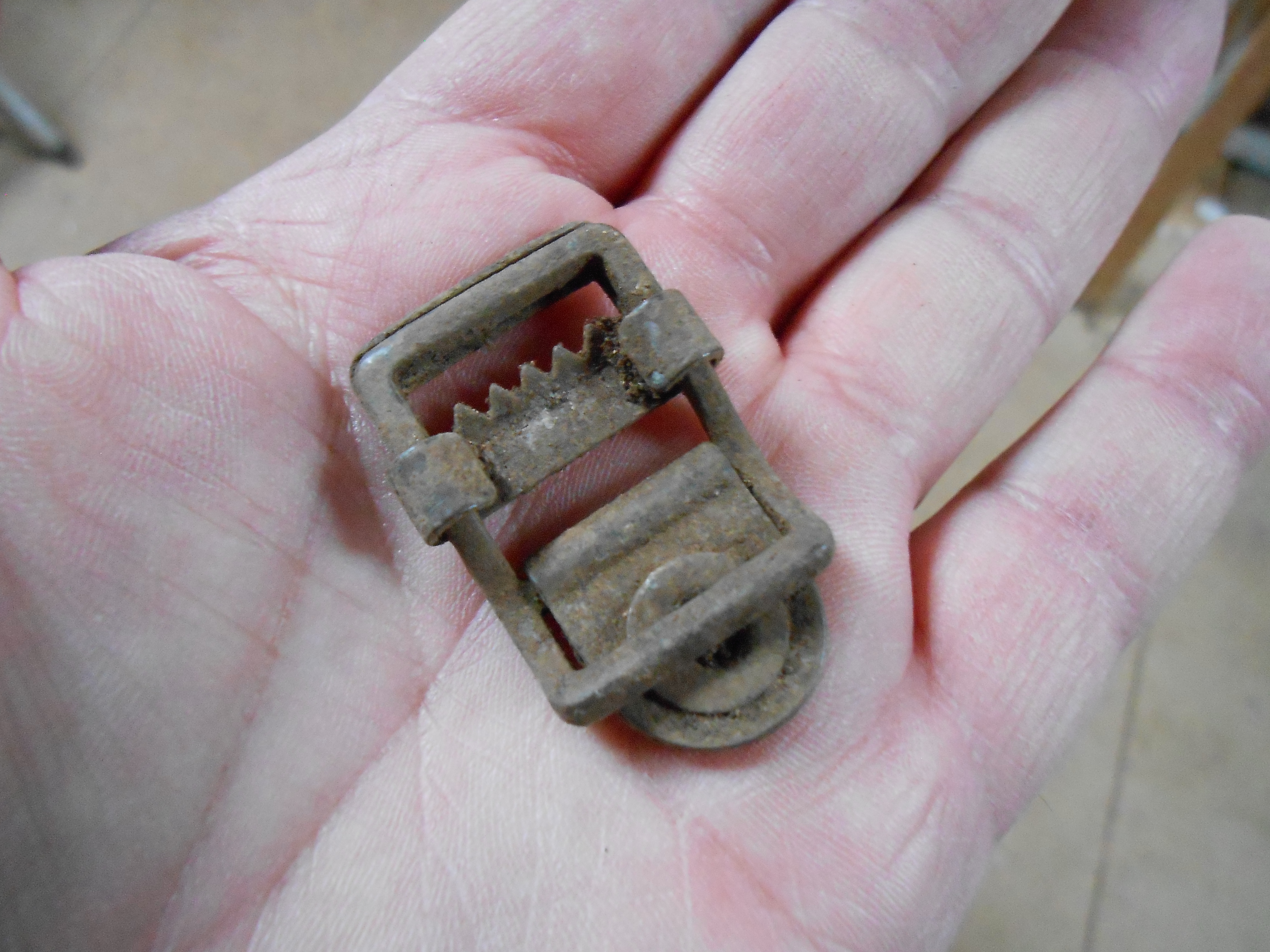 DSCN5529.JPG