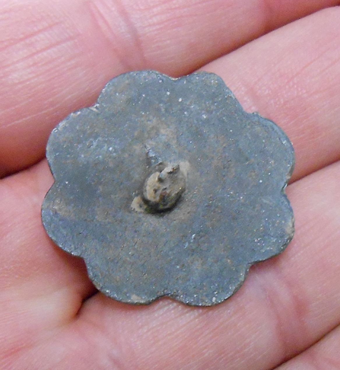 DSCN5538.JPG
