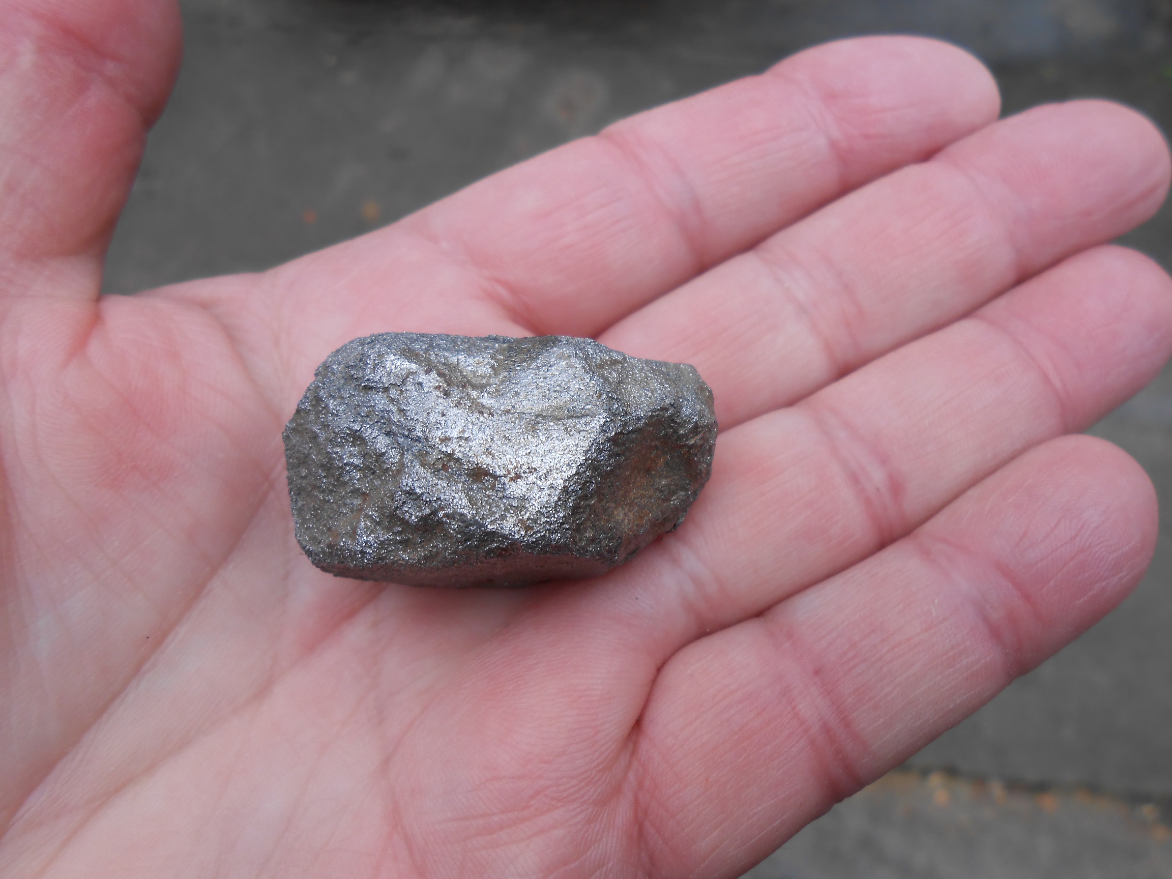 DSCN5662.JPG