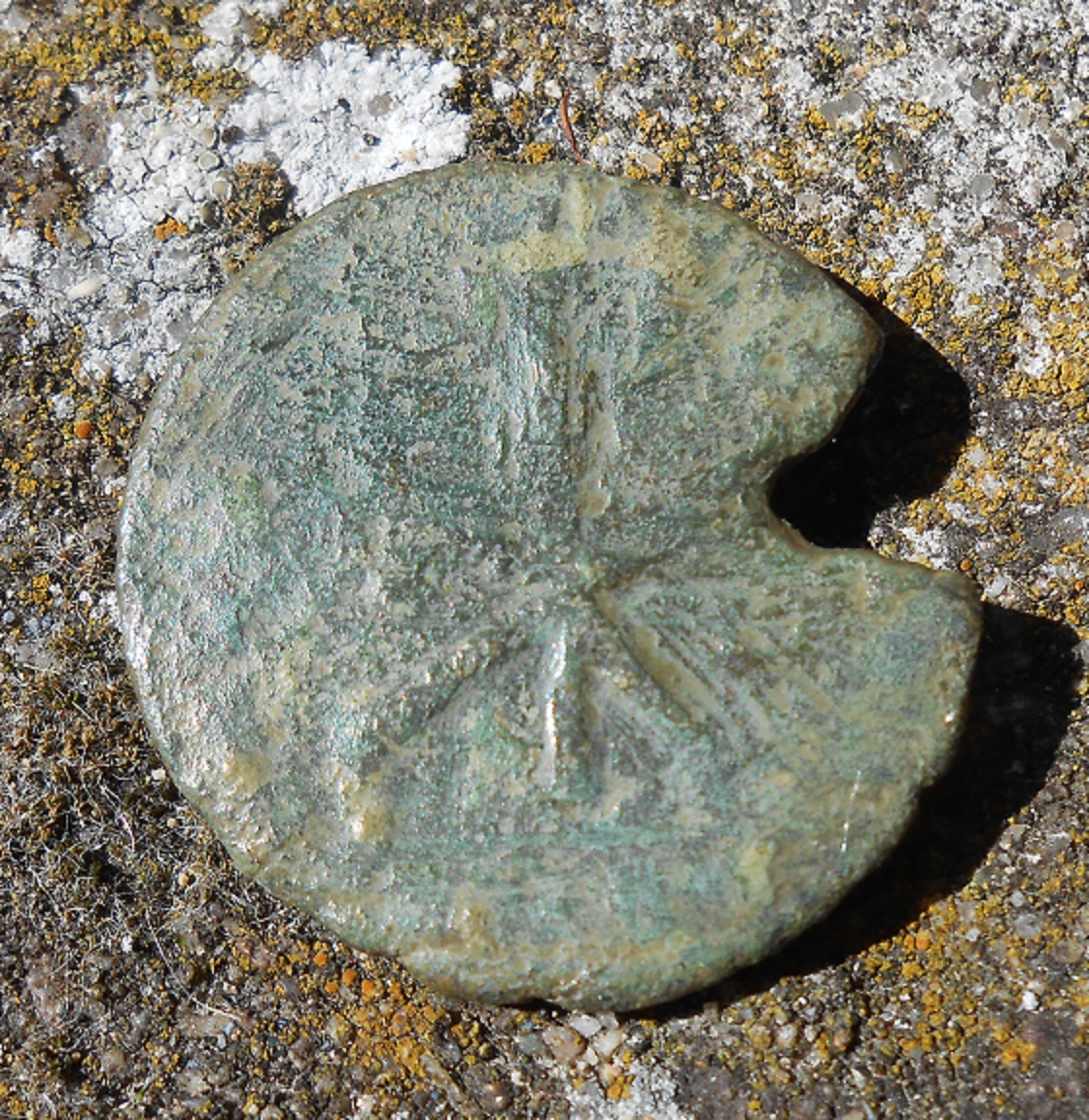 DSCN5869.JPG
