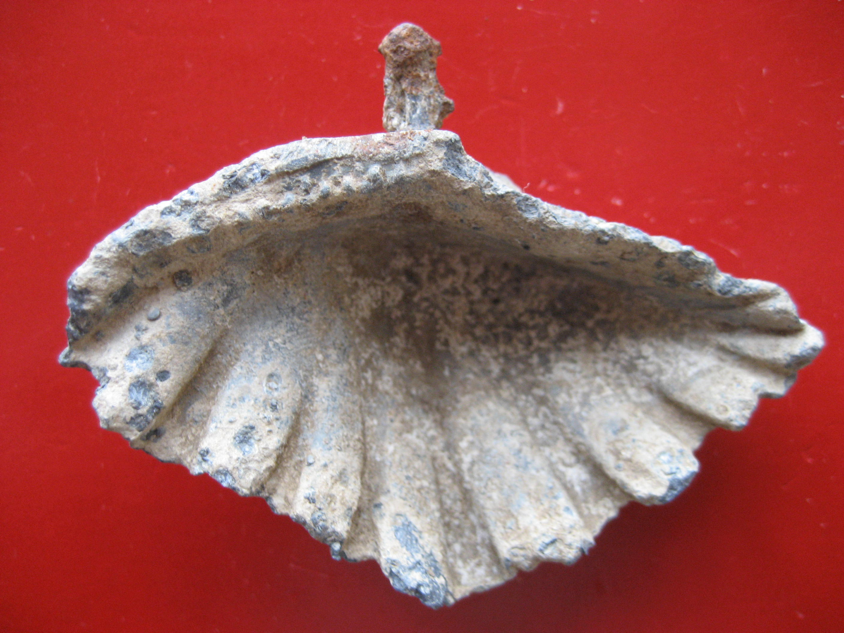 (1) Bénitier(petit) de chevet 19-20e.JPG