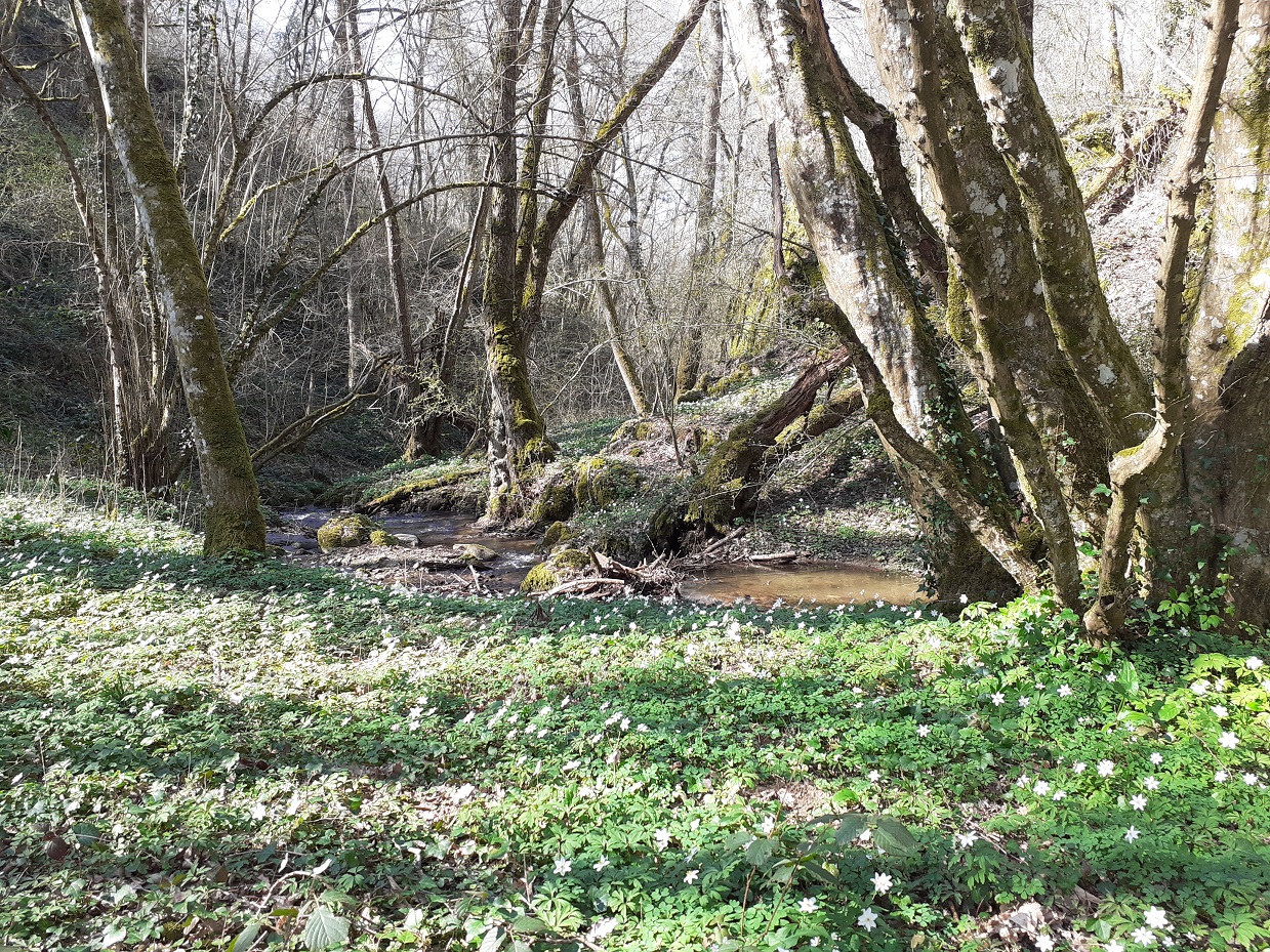 20200318_142716.jpg