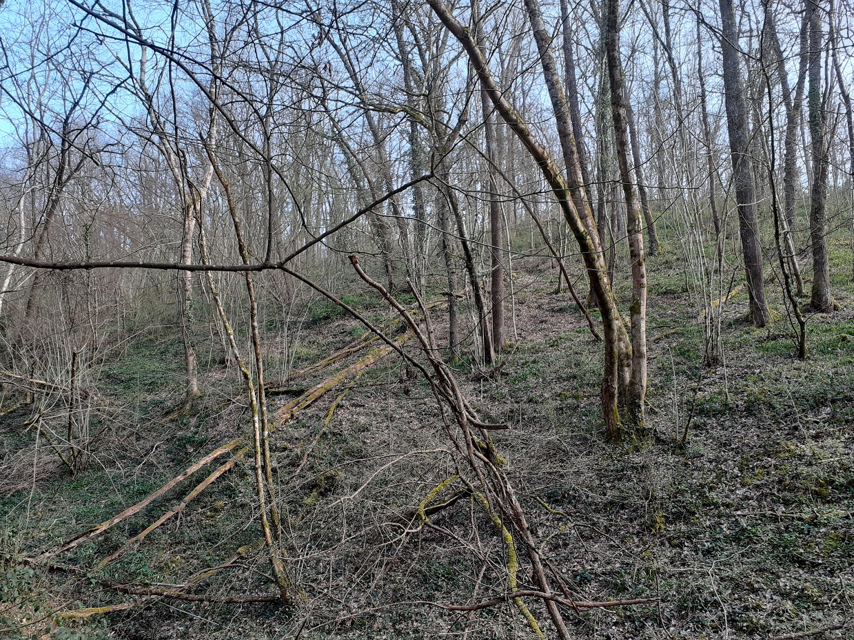 20200321_160701.jpg