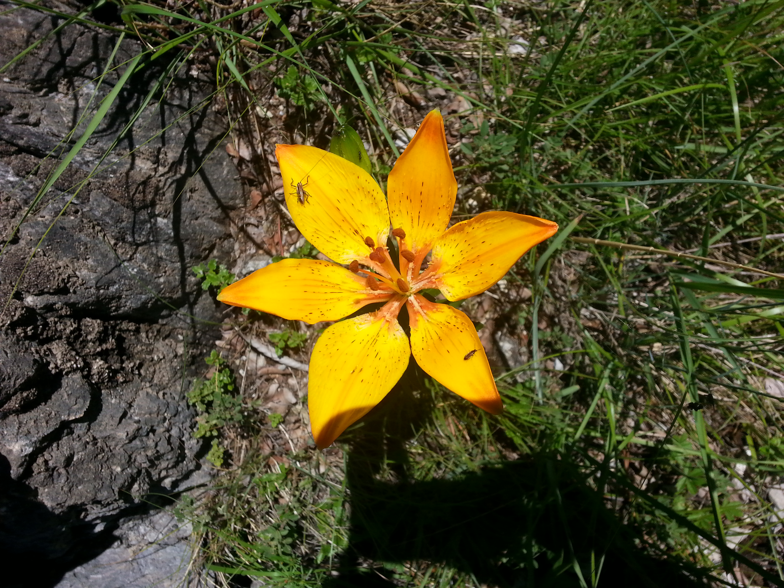20150611_115425.jpg