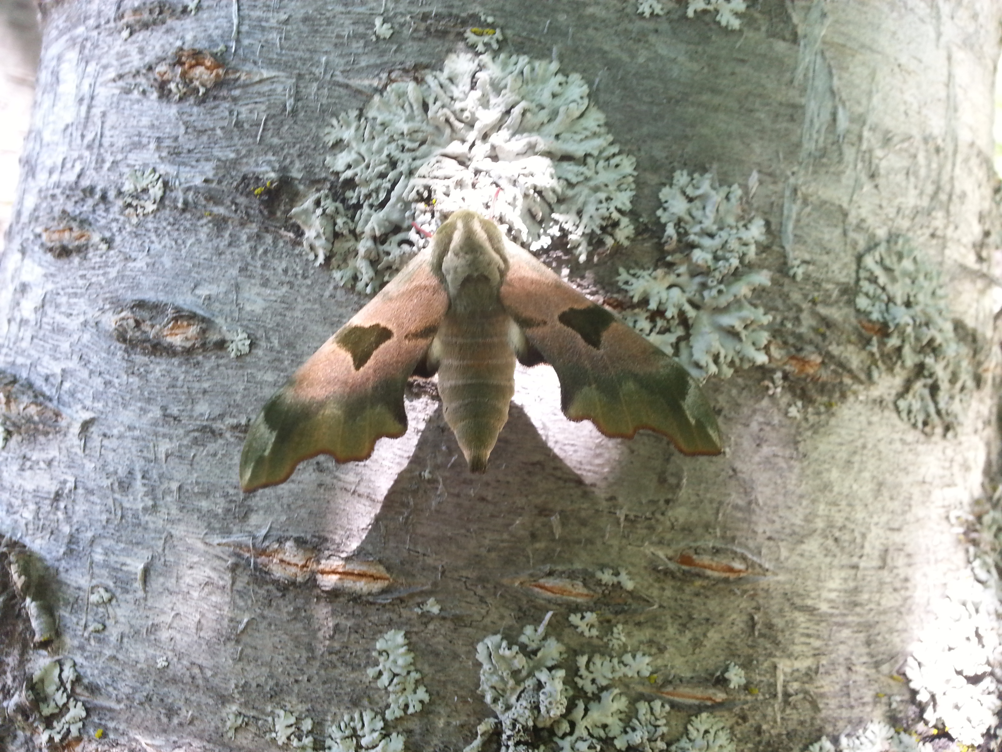 20150611_121754 (2).jpg